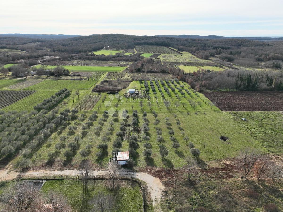 Terreno edificabile Poreč, 5.700m2