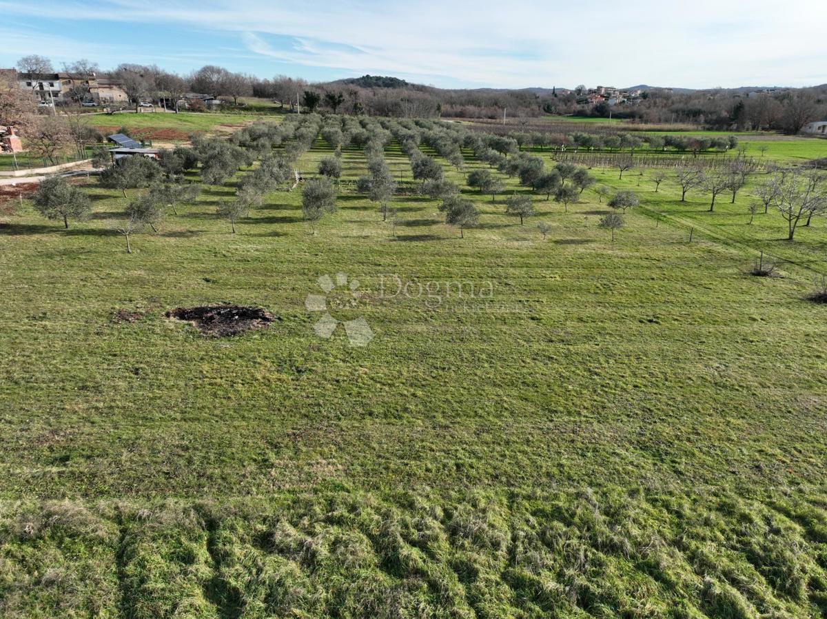 Terreno edificabile Poreč, 5.700m2