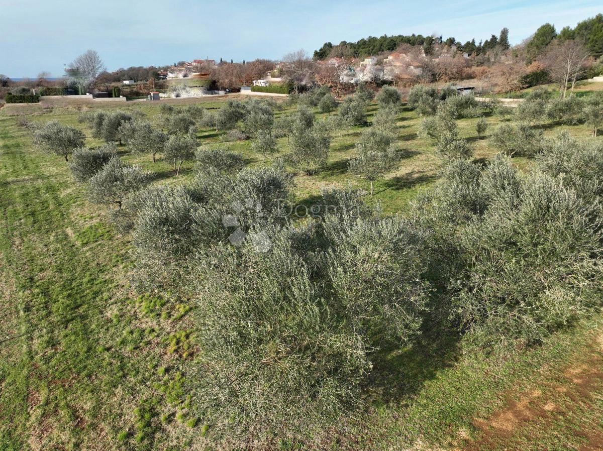 Terreno edificabile Poreč, 5.700m2