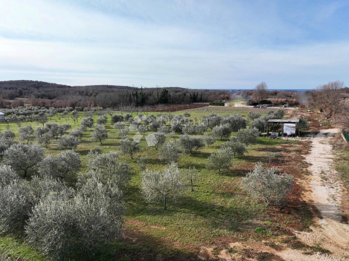 Terreno edificabile Poreč, 5.700m2