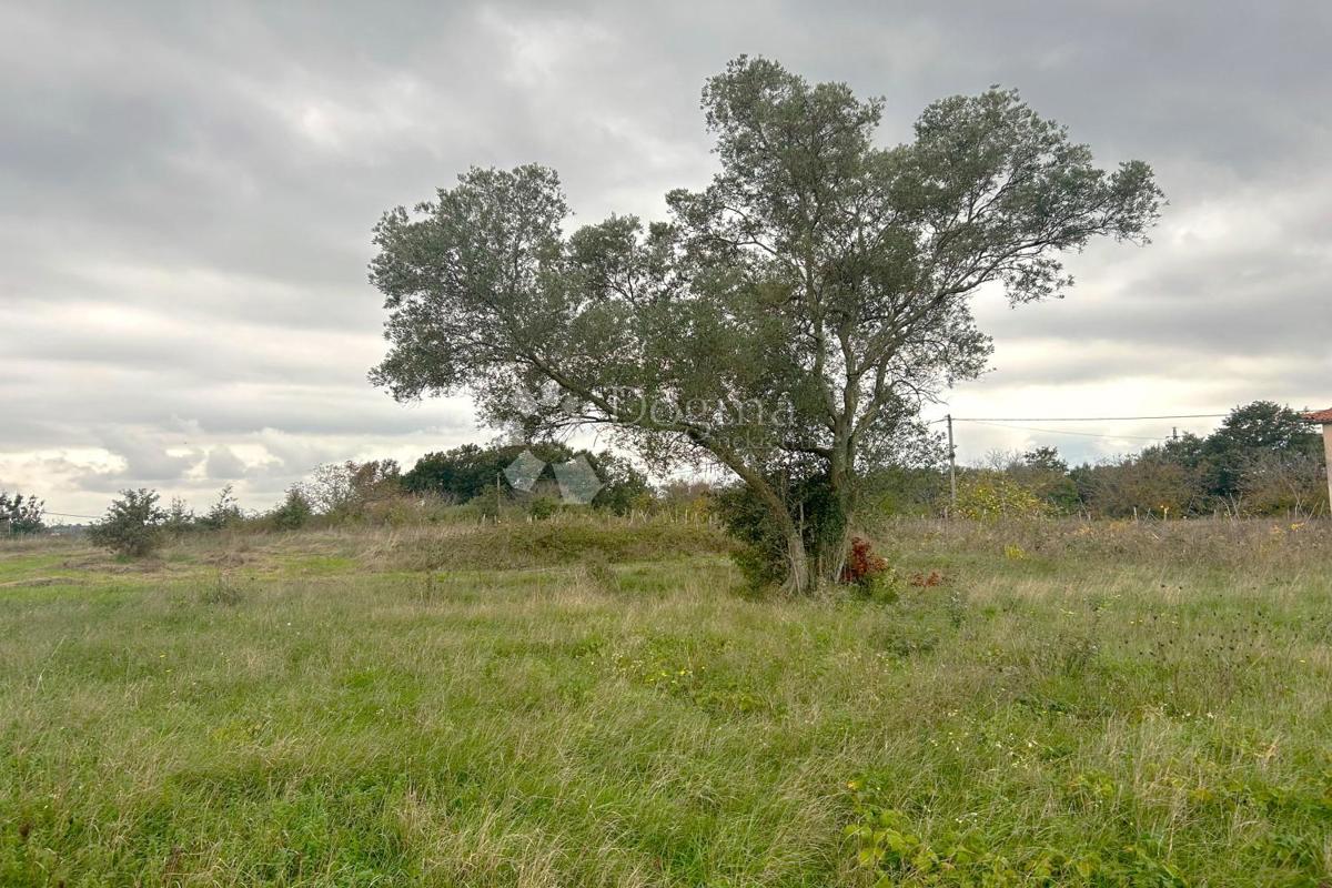 Terreno Svetvinčenat, 600m2