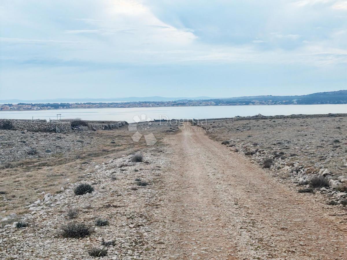 Terreno agricolo Povljana, 11.532m2