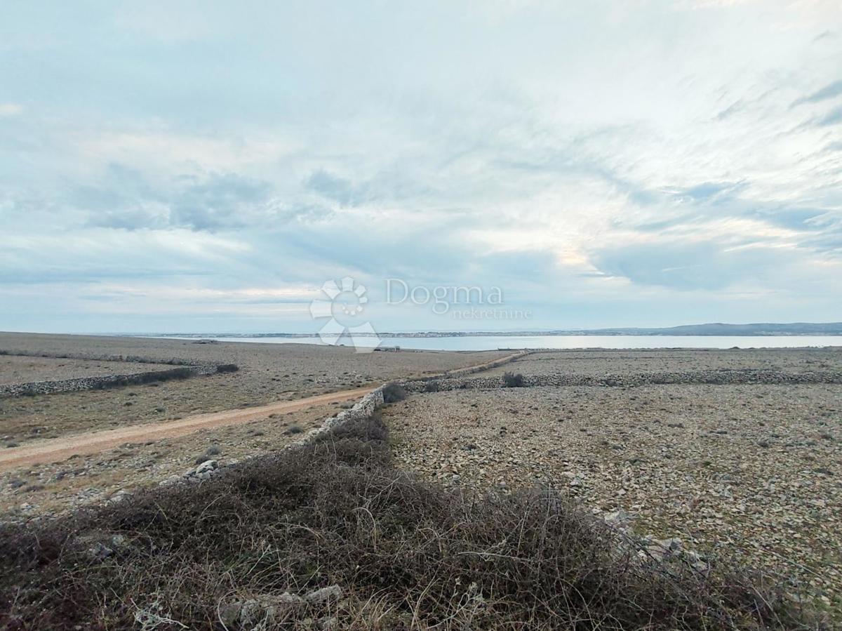 Terreno agricolo Povljana, 11.532m2