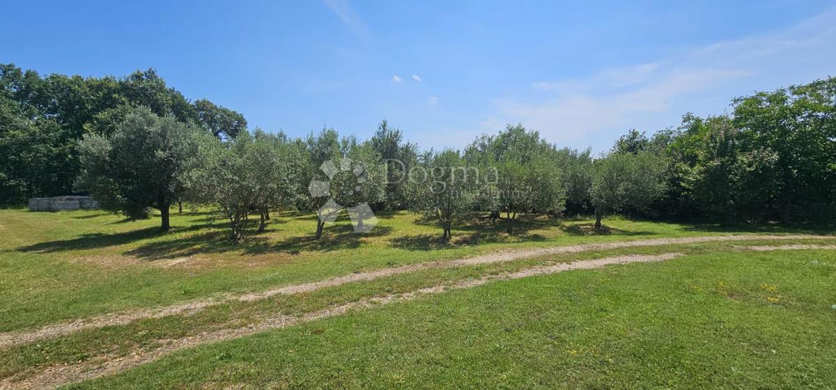 Casa Peruški, Marčana, 237m2