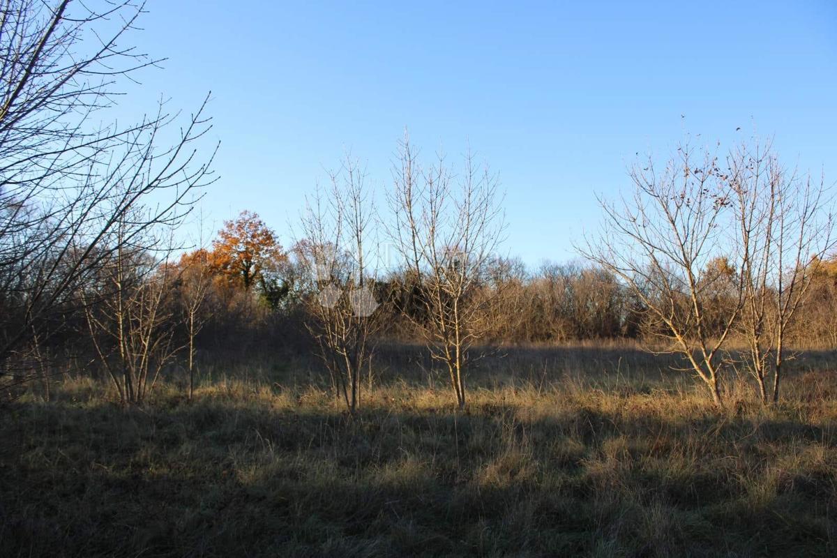 Terreno agricolo Kanfanar, 13.000m2