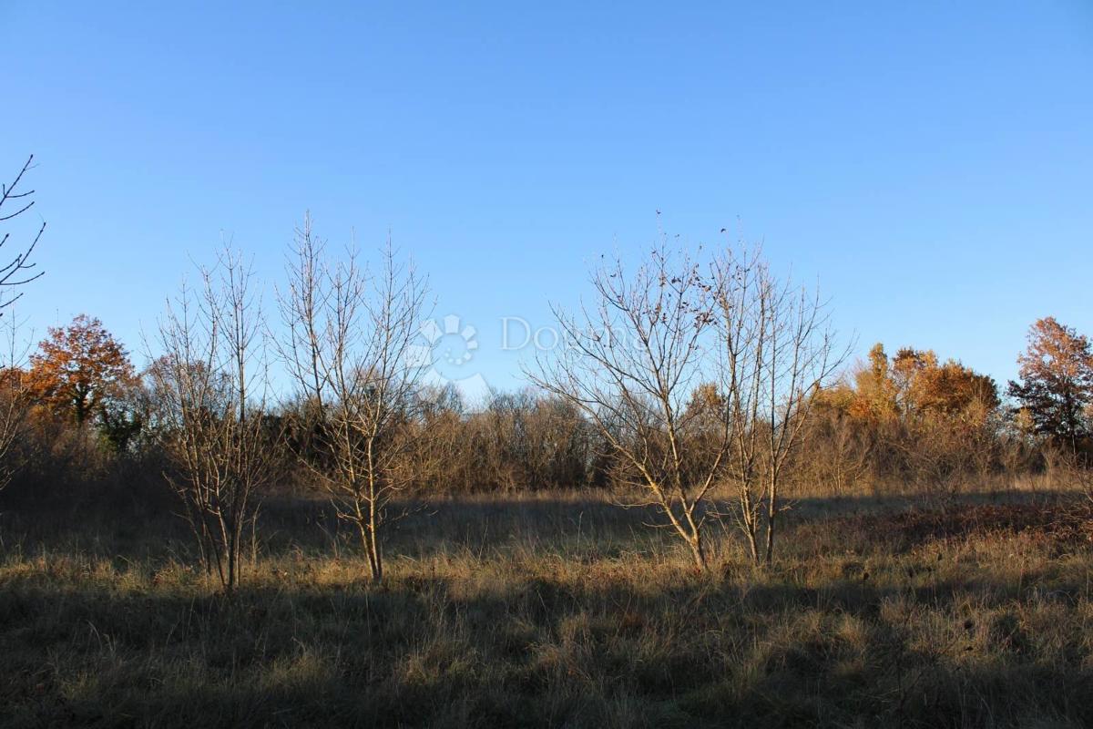 Terreno agricolo Kanfanar, 13.000m2