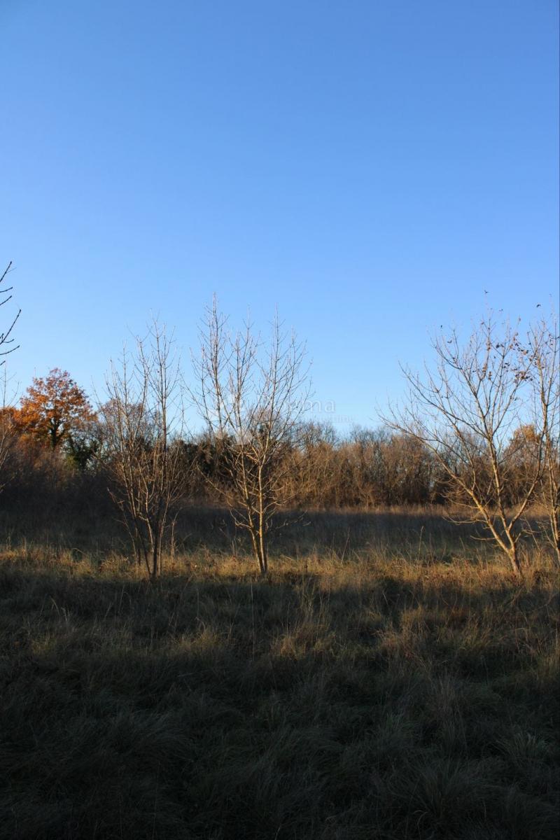 Terreno agricolo Kanfanar, 13.000m2