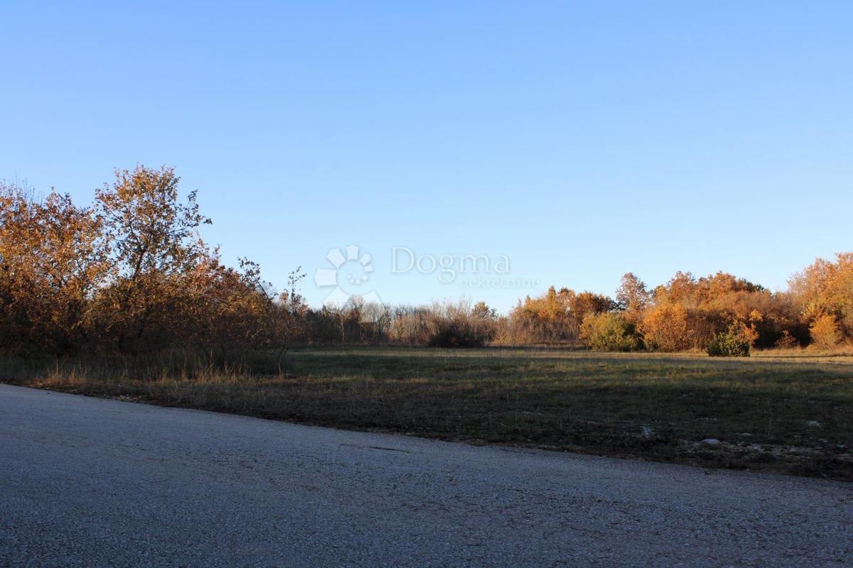 Terreno agricolo Kanfanar, 13.000m2