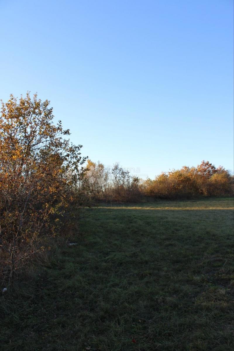 Terreno agricolo Kanfanar, 13.000m2