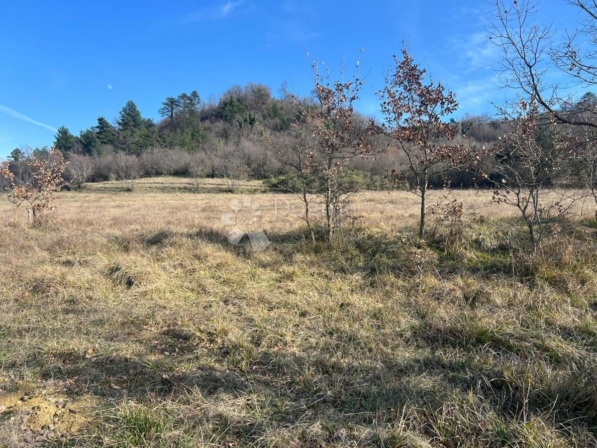 Terreno edificabile Labin, 1.250m2