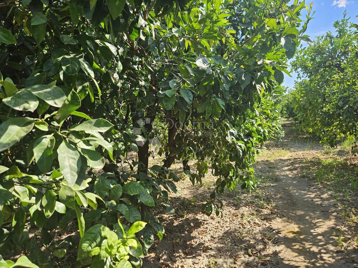 Terreno agricolo Metković, 2.404m2