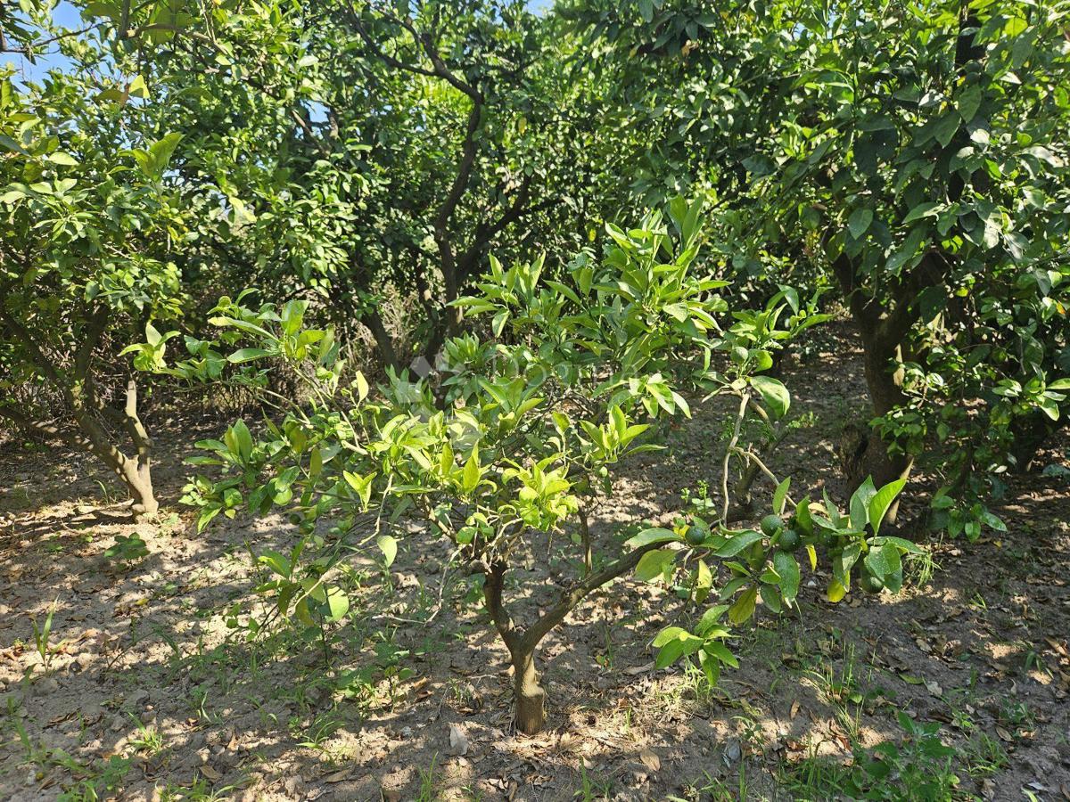 Terreno agricolo Metković, 2.404m2