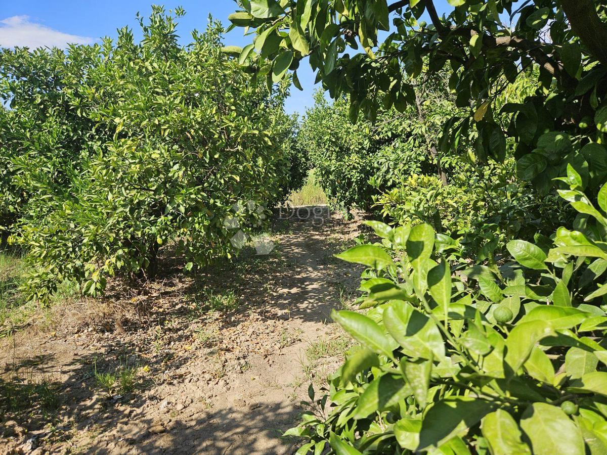 Terreno agricolo Metković, 2.404m2