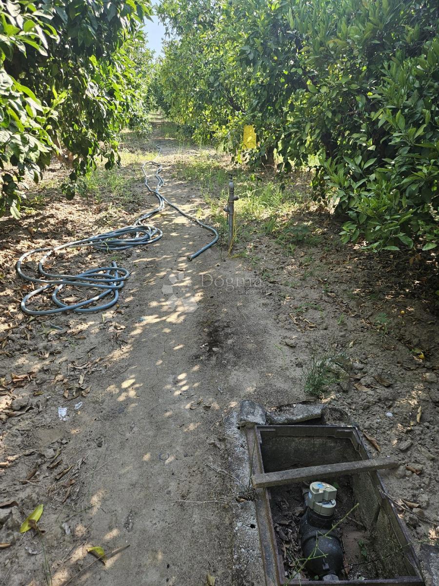 Terreno agricolo Metković, 2.404m2