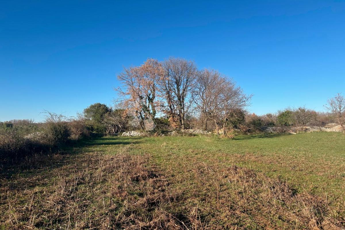 Terreno edificabile Vodnjan, 481m2