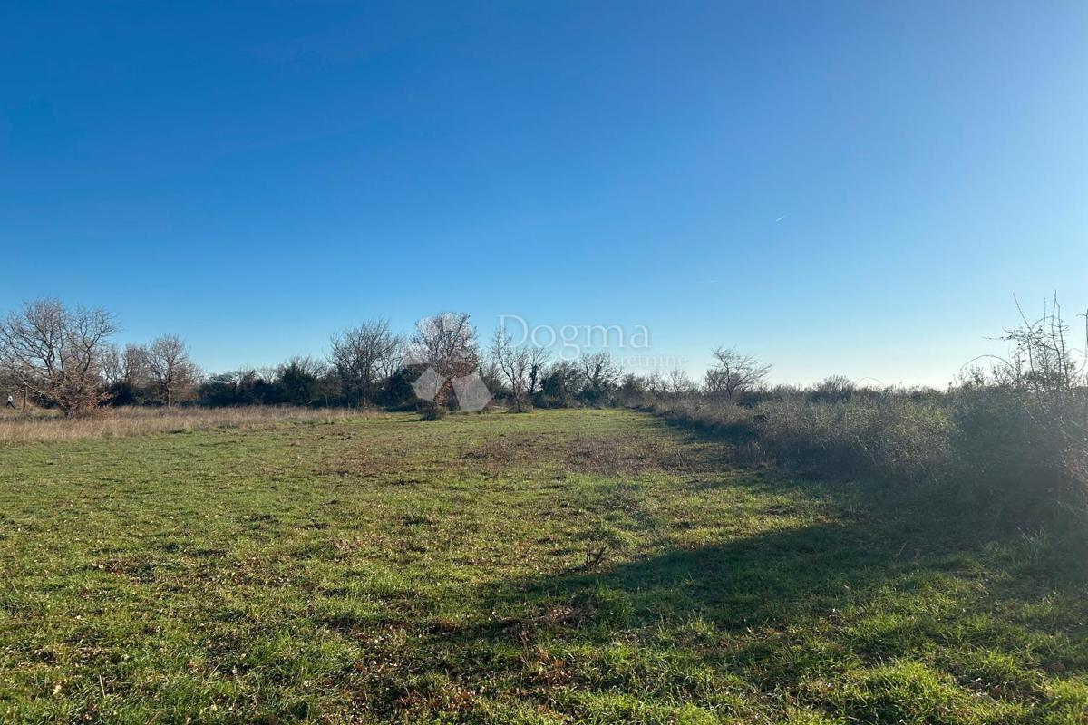 Terreno edificabile Vodnjan, 481m2