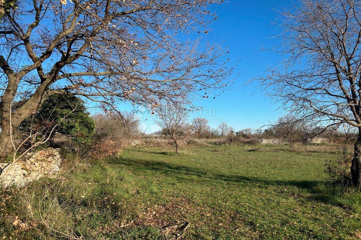 Terreno edificabile Vodnjan, 481m2