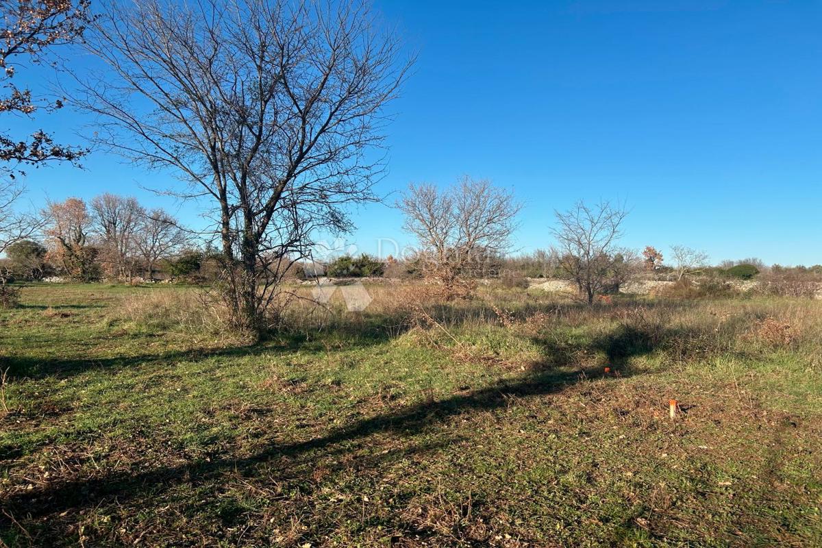 Terreno edificabile Vodnjan, 481m2