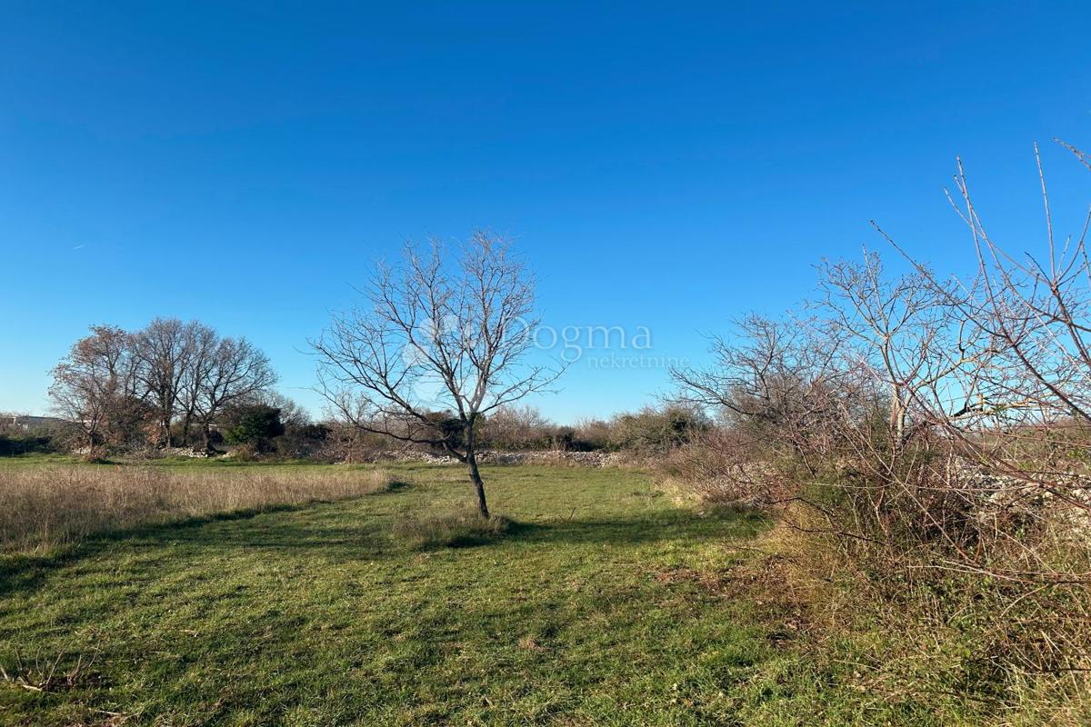 Terreno edificabile Vodnjan, 481m2