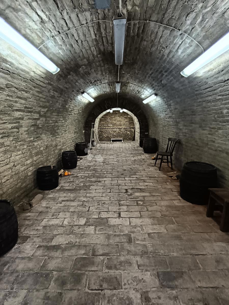 Casa Zmajevac, Kneževi Vinogradi, 730m2