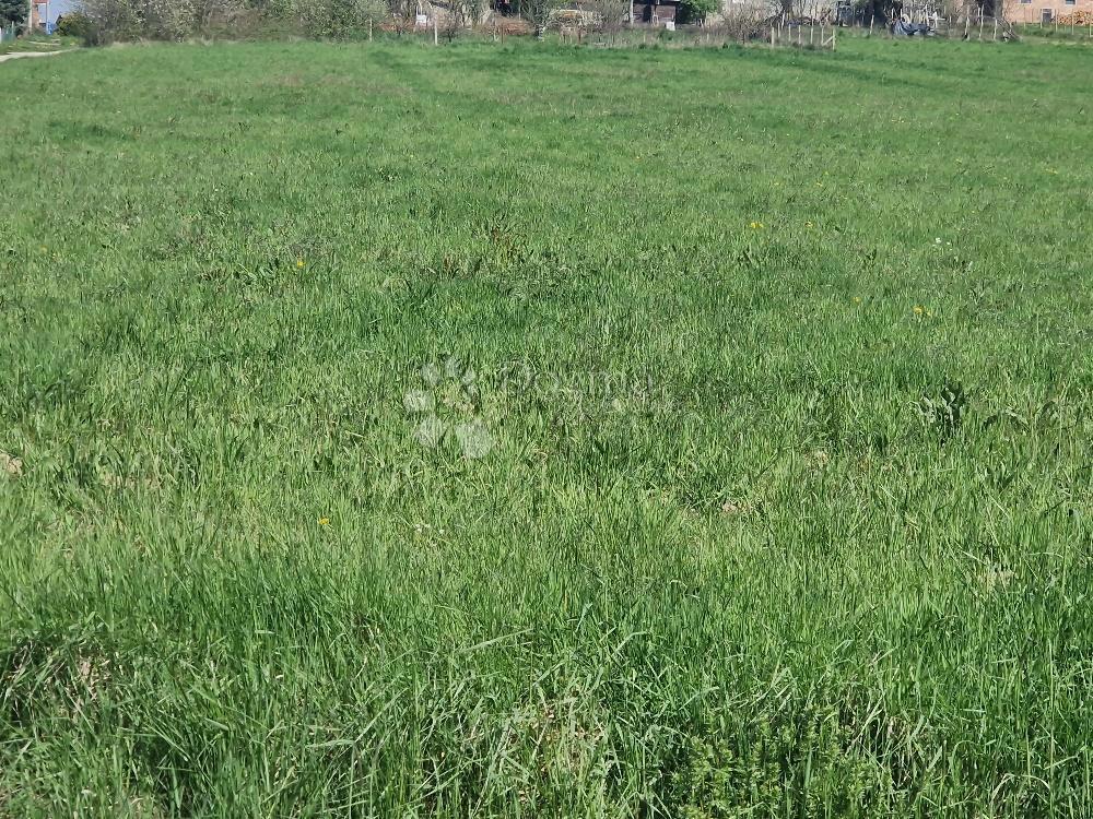 Terreno edificabile Dijaneš, Vrbovec, 4.000m2