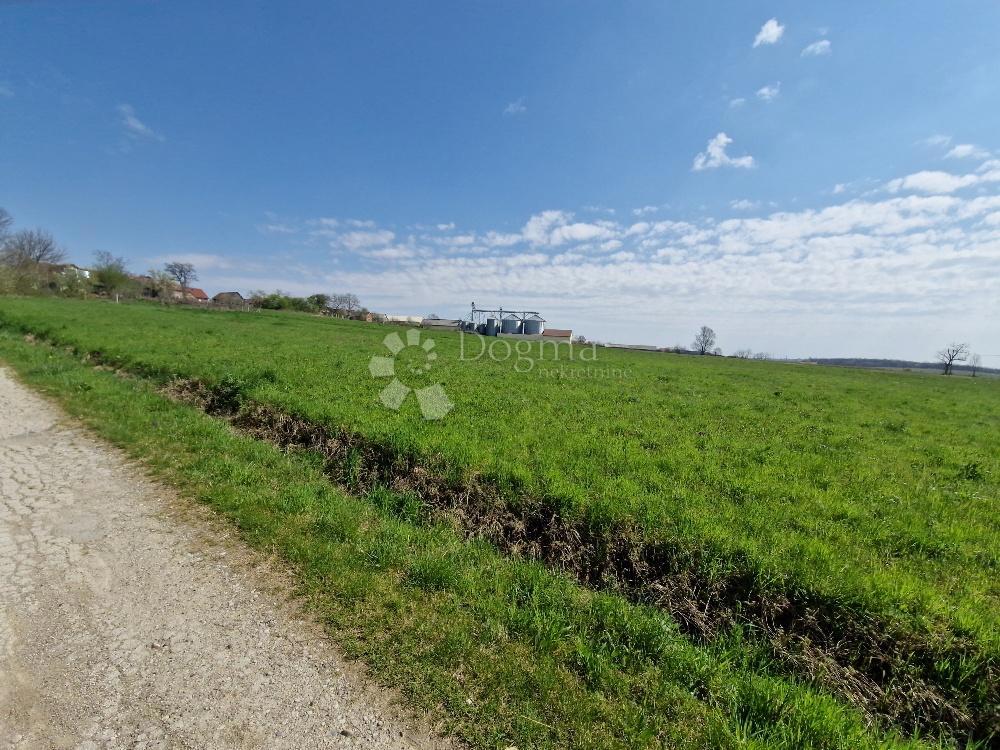 Terreno edificabile Dijaneš, Vrbovec, 4.000m2