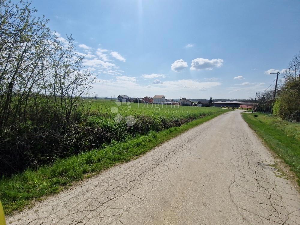 Terreno edificabile Dijaneš, Vrbovec, 4.000m2