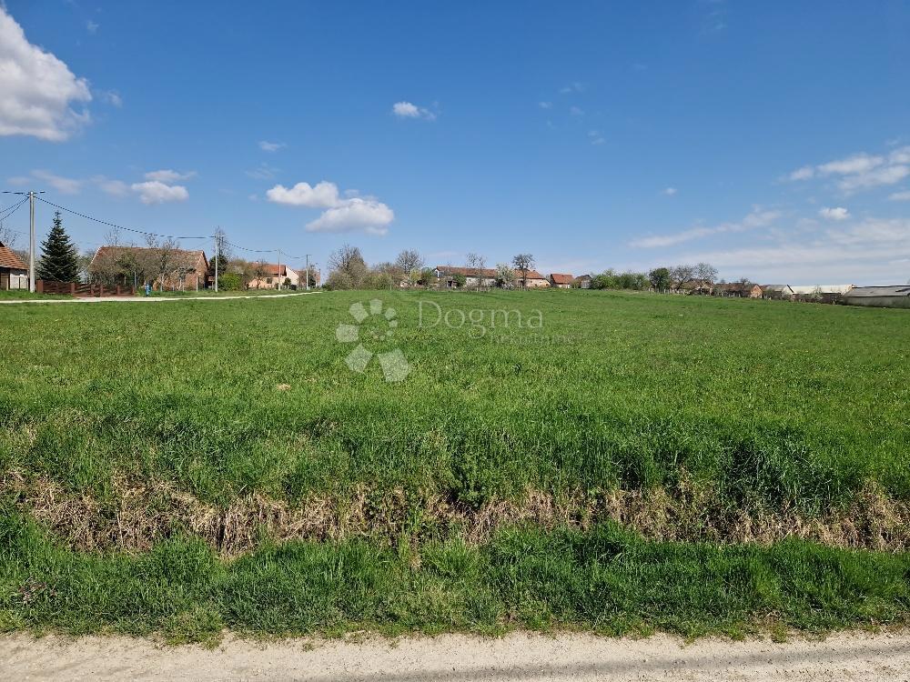 Terreno edificabile Dijaneš, Vrbovec, 4.000m2