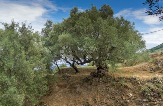 Terreno agricolo Pučišća, 27.347m2