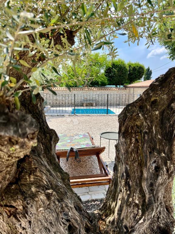Autentica casa in pietra istriana con due unità abitative, piscina e servizi aggiuntivi - opportunità ideale per vivere o affittare per turismo