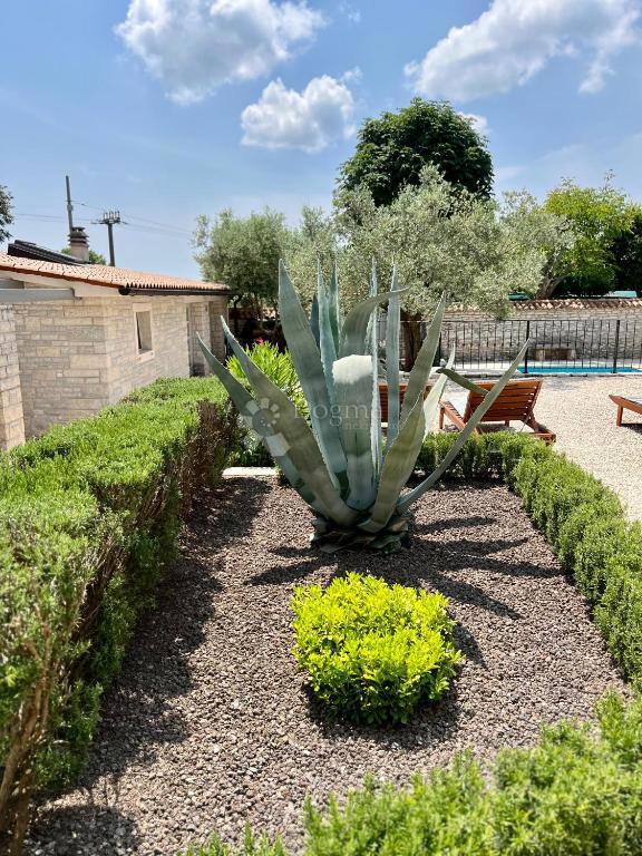Autentica casa in pietra istriana con due unità abitative, piscina e servizi aggiuntivi - opportunità ideale per vivere o affittare per turismo