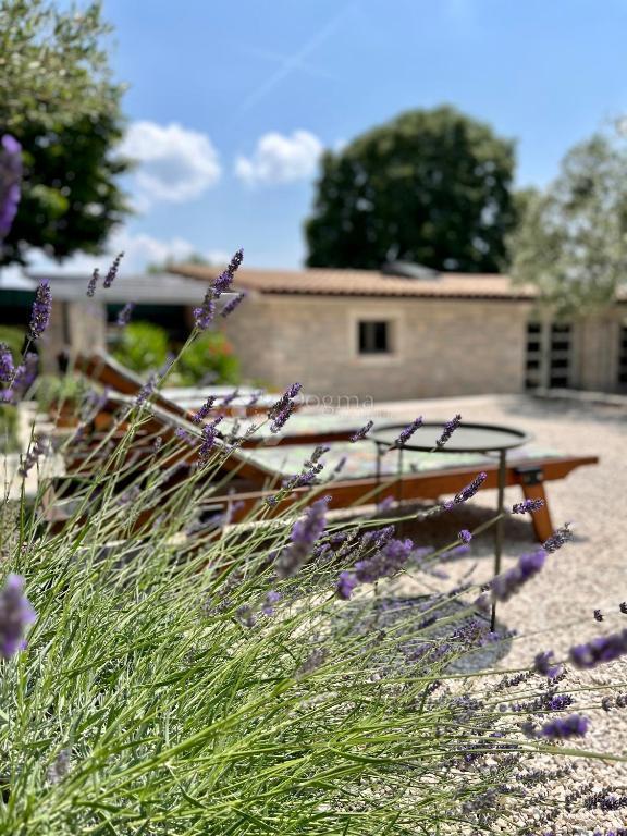 Autentica casa in pietra istriana con due unità abitative, piscina e servizi aggiuntivi - opportunità ideale per vivere o affittare per turismo