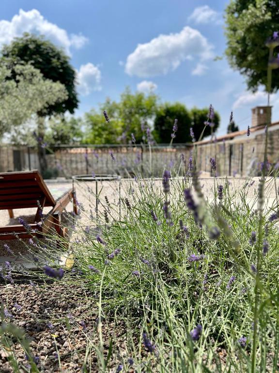 Autentica casa in pietra istriana con due unità abitative, piscina e servizi aggiuntivi - opportunità ideale per vivere o affittare per turismo