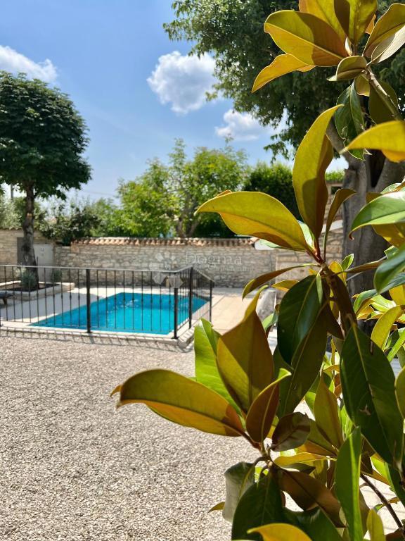 Autentica casa in pietra istriana con due unità abitative, piscina e servizi aggiuntivi - opportunità ideale per vivere o affittare per turismo