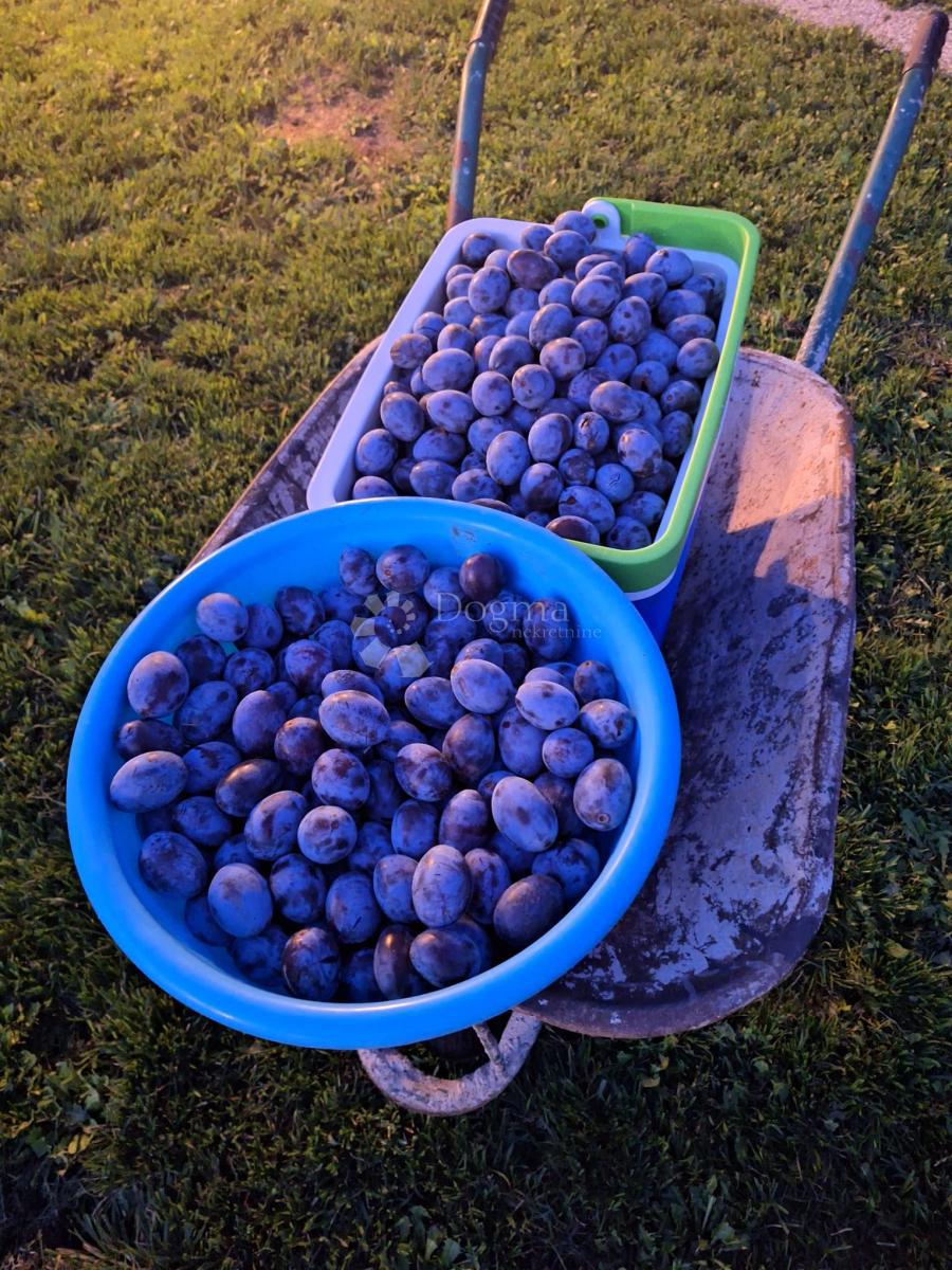 Casa Jošan, Udbina, 100m2