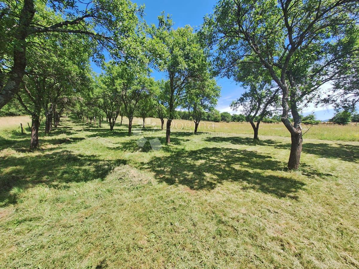 Casa Jošan, Udbina, 100m2