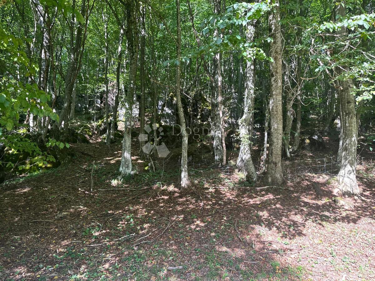 Casa Brušane, Gospić - Okolica, 90m2