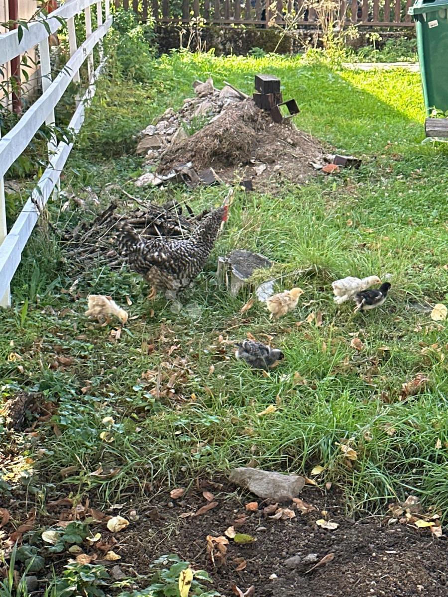 Casa Brušane, Gospić - Okolica, 90m2