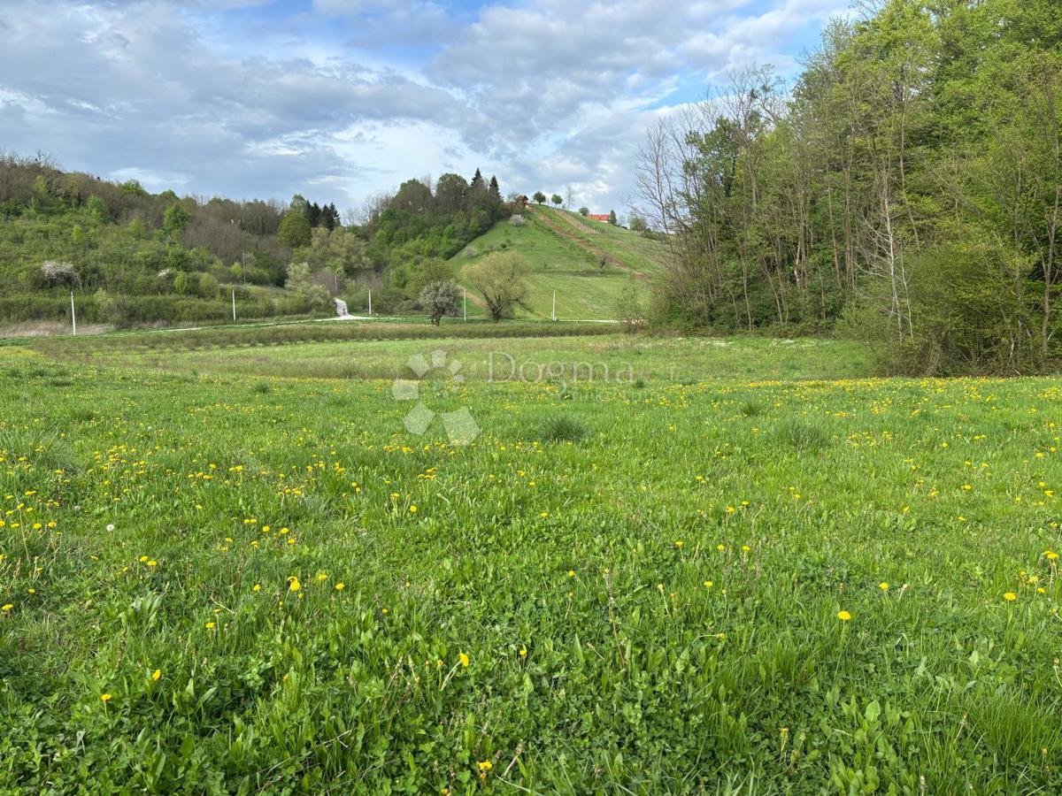 Terreno agricolo Grana, Novi Marof, 370.598m2