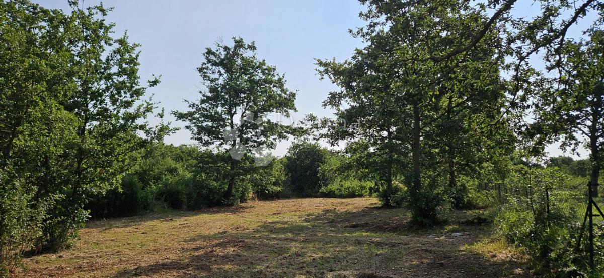 Terreno Cukrići, Svetvinčenat, 1.600m2