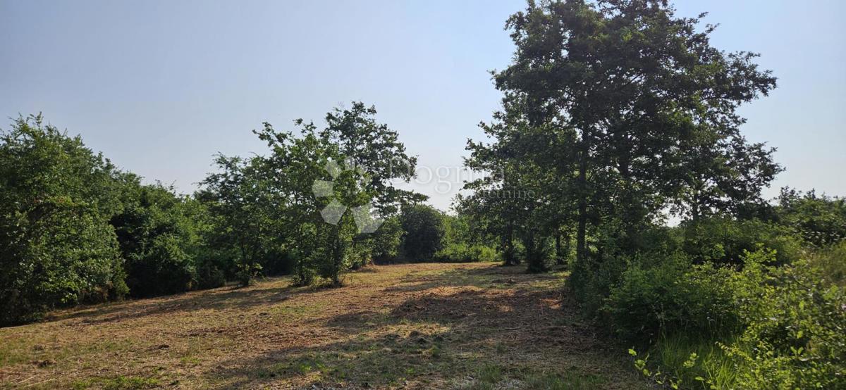 Terreno Cukrići, Svetvinčenat, 1.600m2