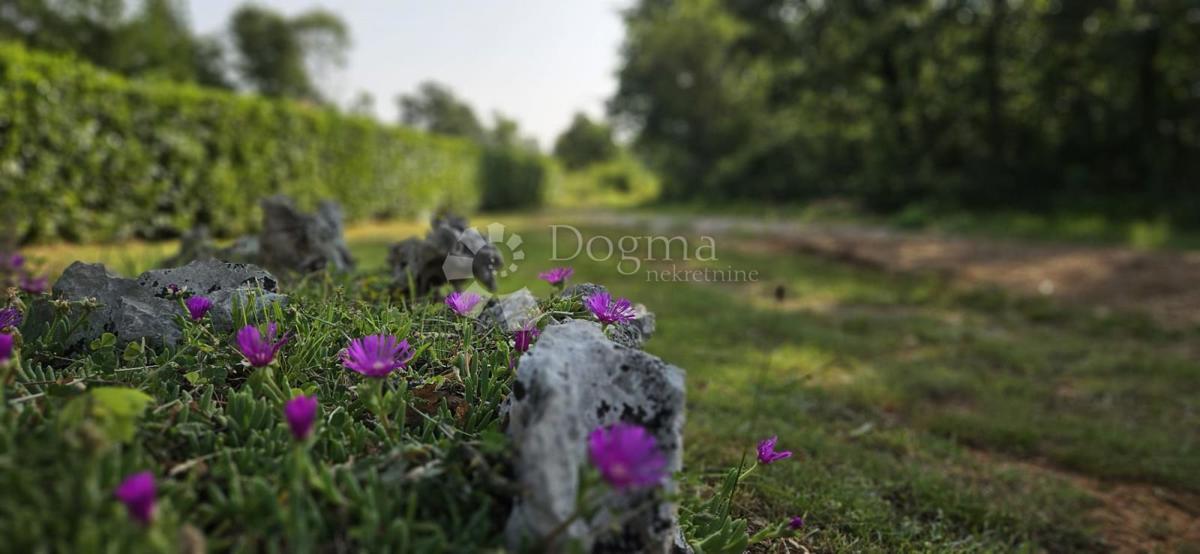 Terreno Cukrići, Svetvinčenat, 1.600m2
