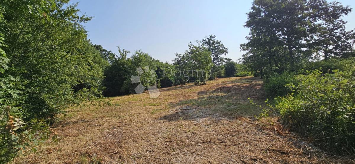 Terreno Cukrići, Svetvinčenat, 1.600m2