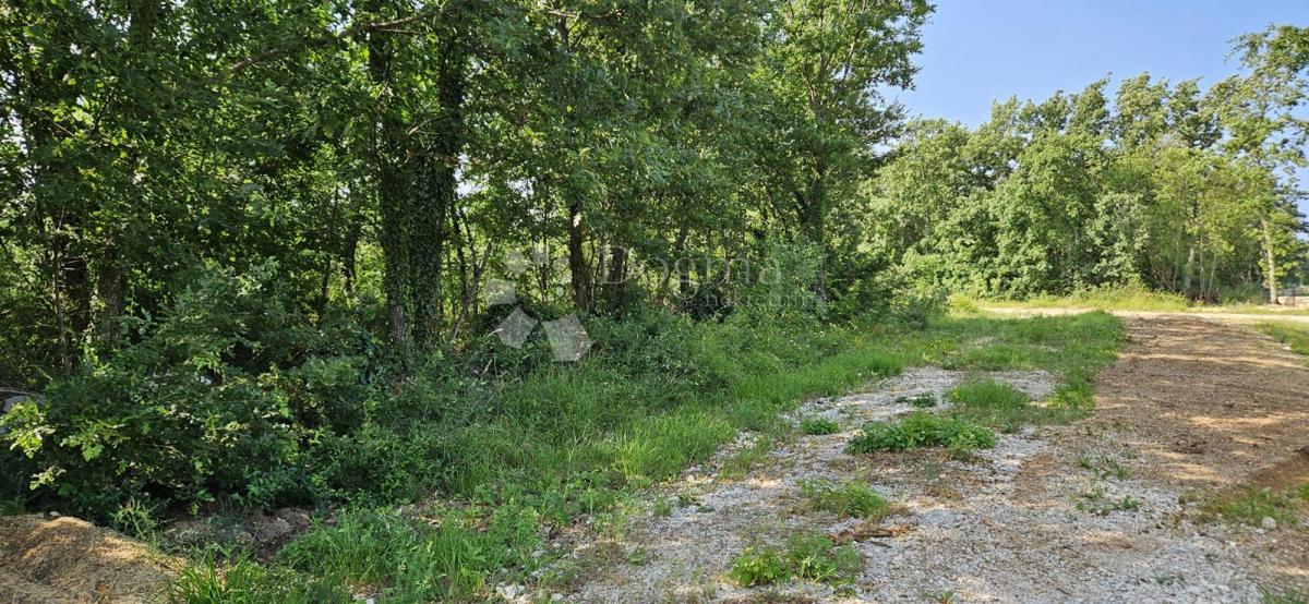 Terreno Cukrići, Svetvinčenat, 1.600m2