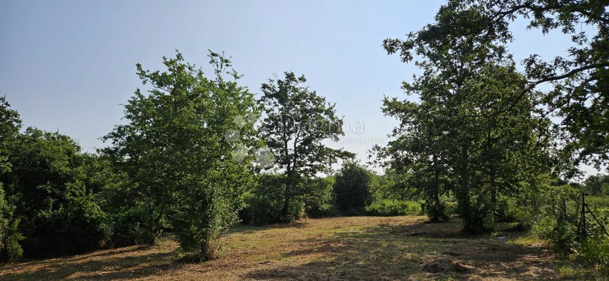 Terreno Cukrići, Svetvinčenat, 1.600m2