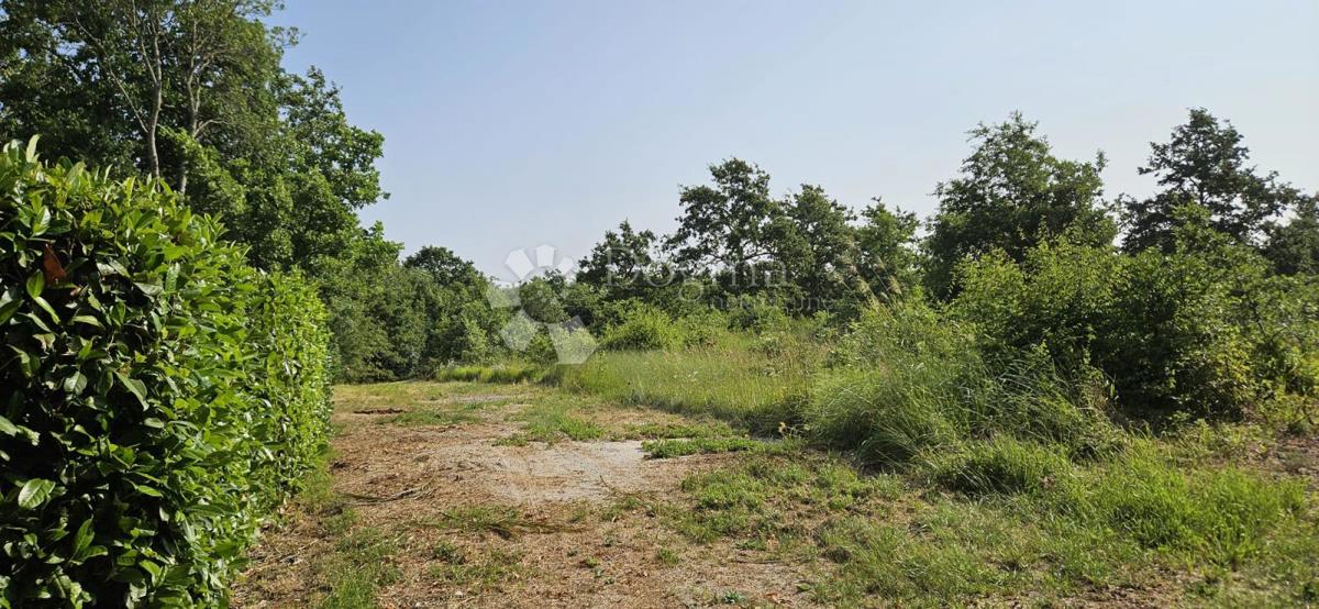 Terreno Cukrići, Svetvinčenat, 1.600m2