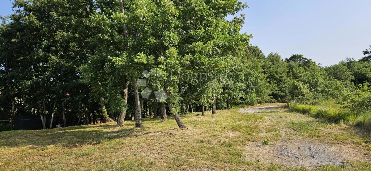 Terreno Cukrići, Svetvinčenat, 1.600m2