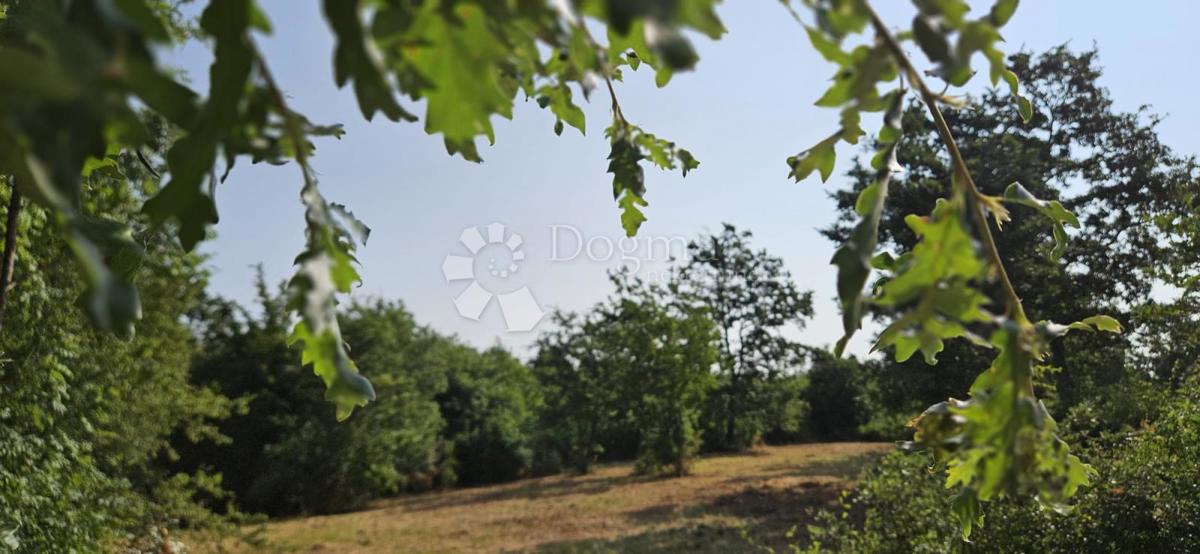 Terreno Cukrići, Svetvinčenat, 1.600m2