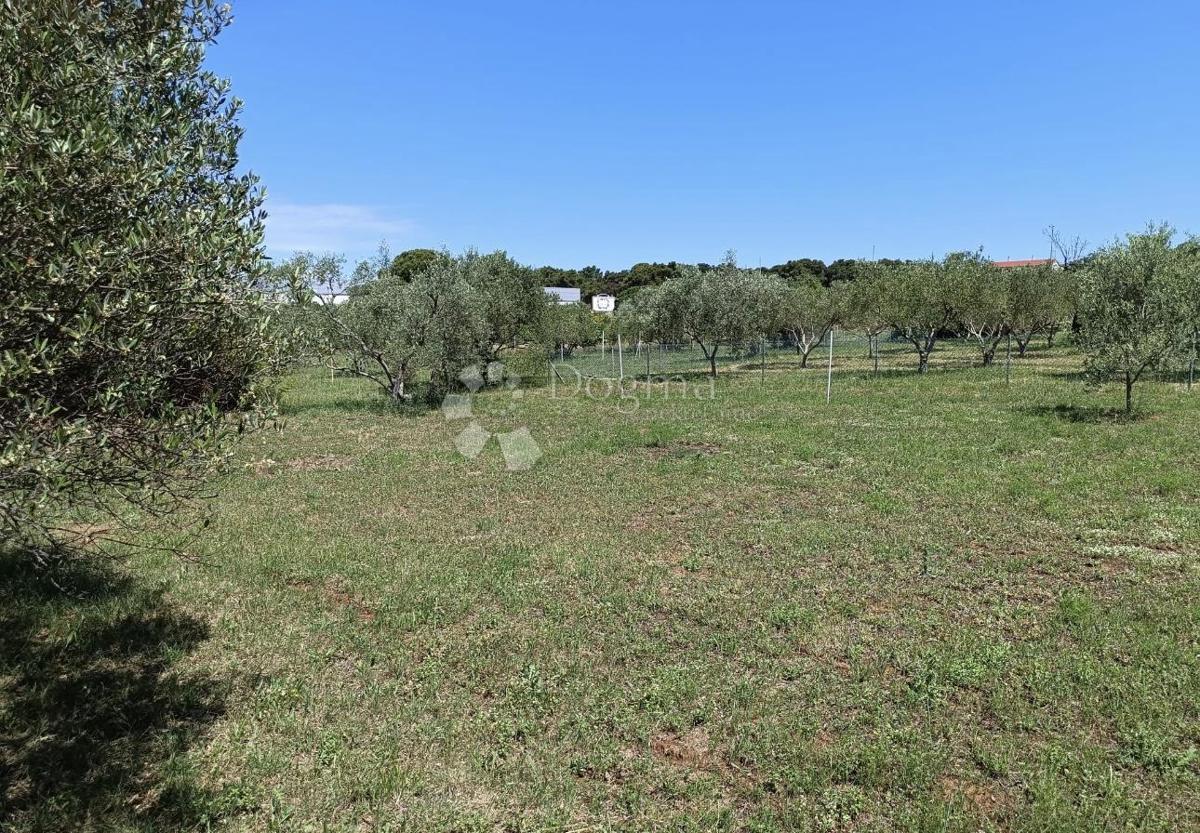 Terreno edificabile Biograd na Moru, 541m2