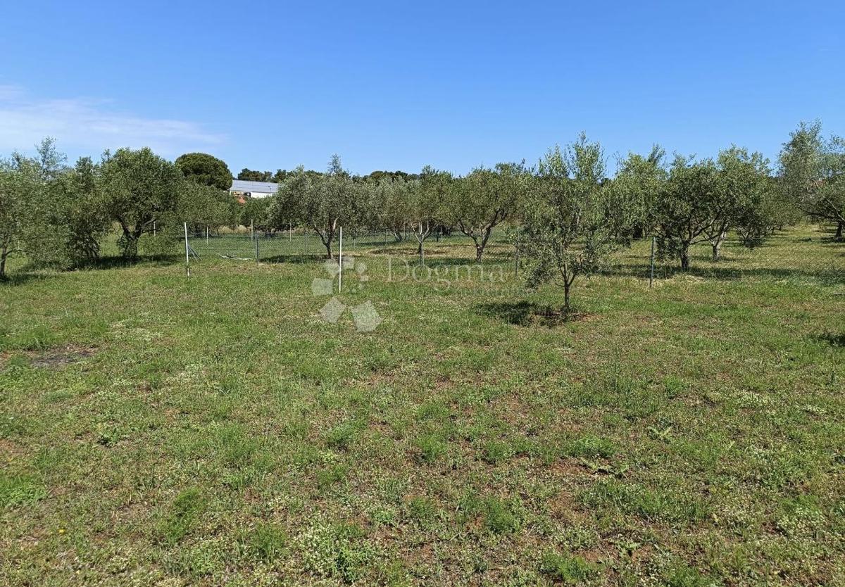 Terreno edificabile Biograd na Moru, 541m2